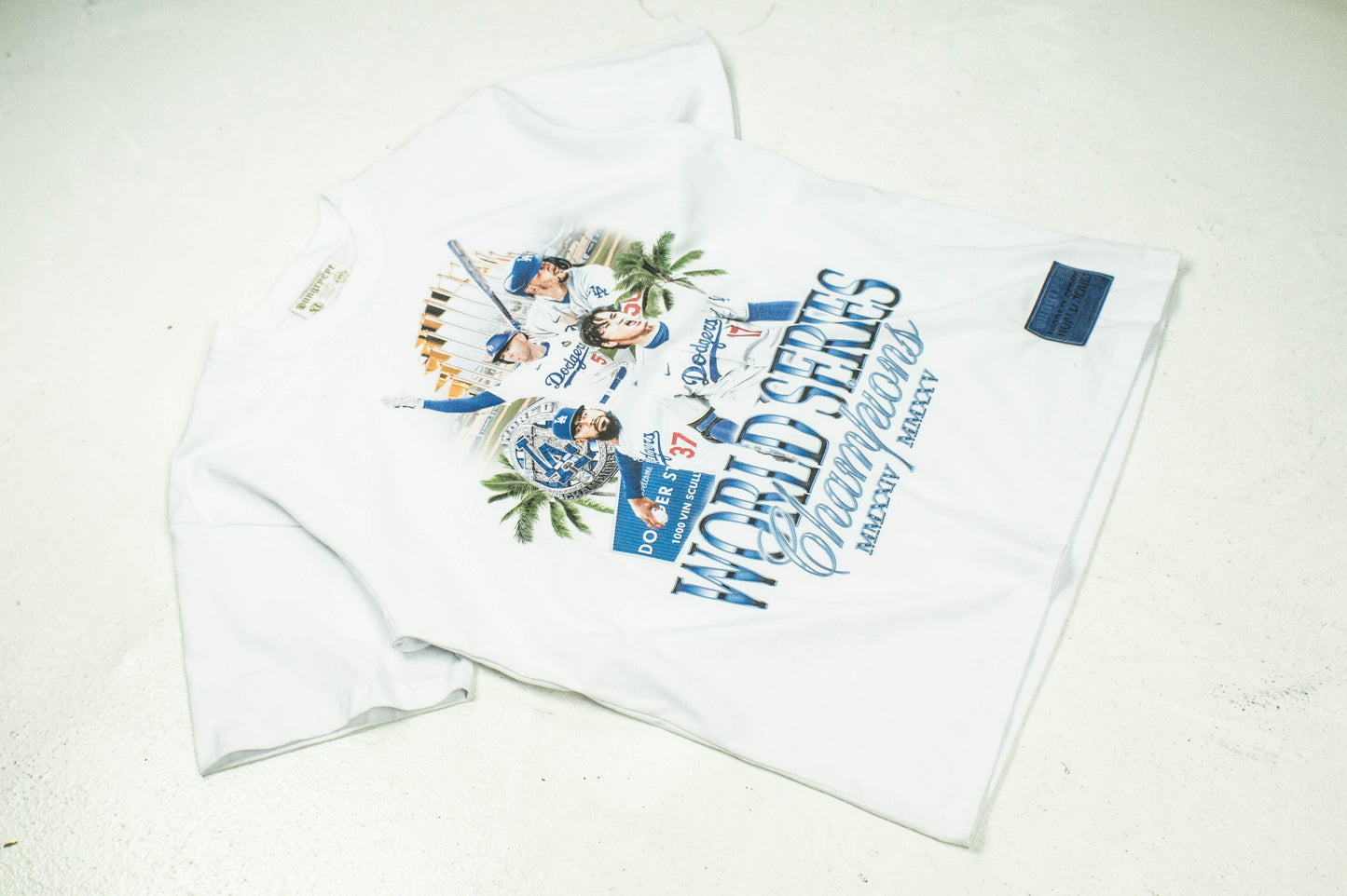 World Series Champions 2024/2025