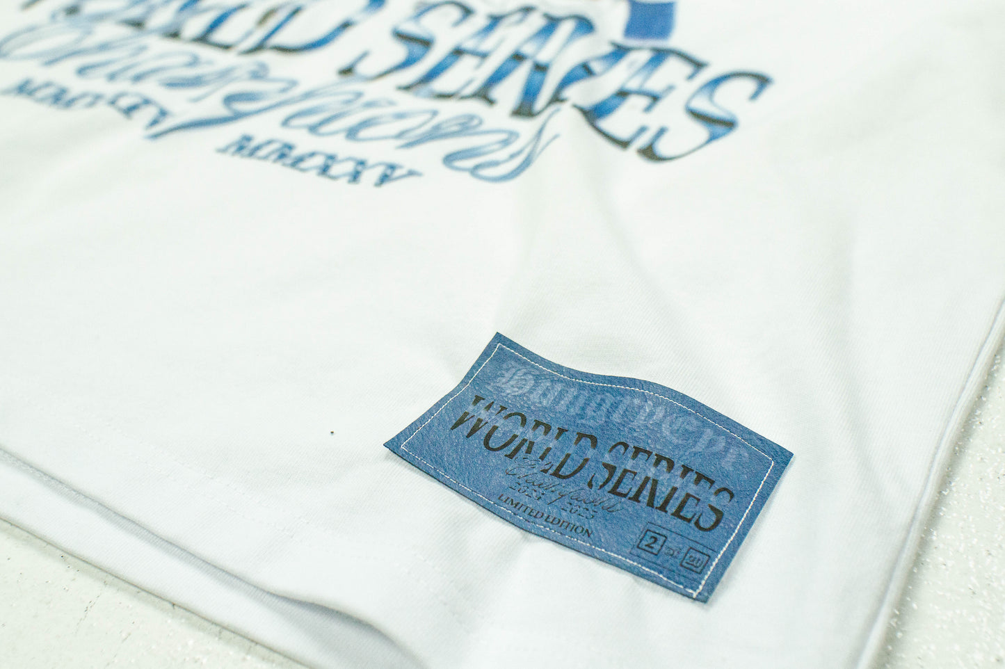 World Series Champions 2024/2025