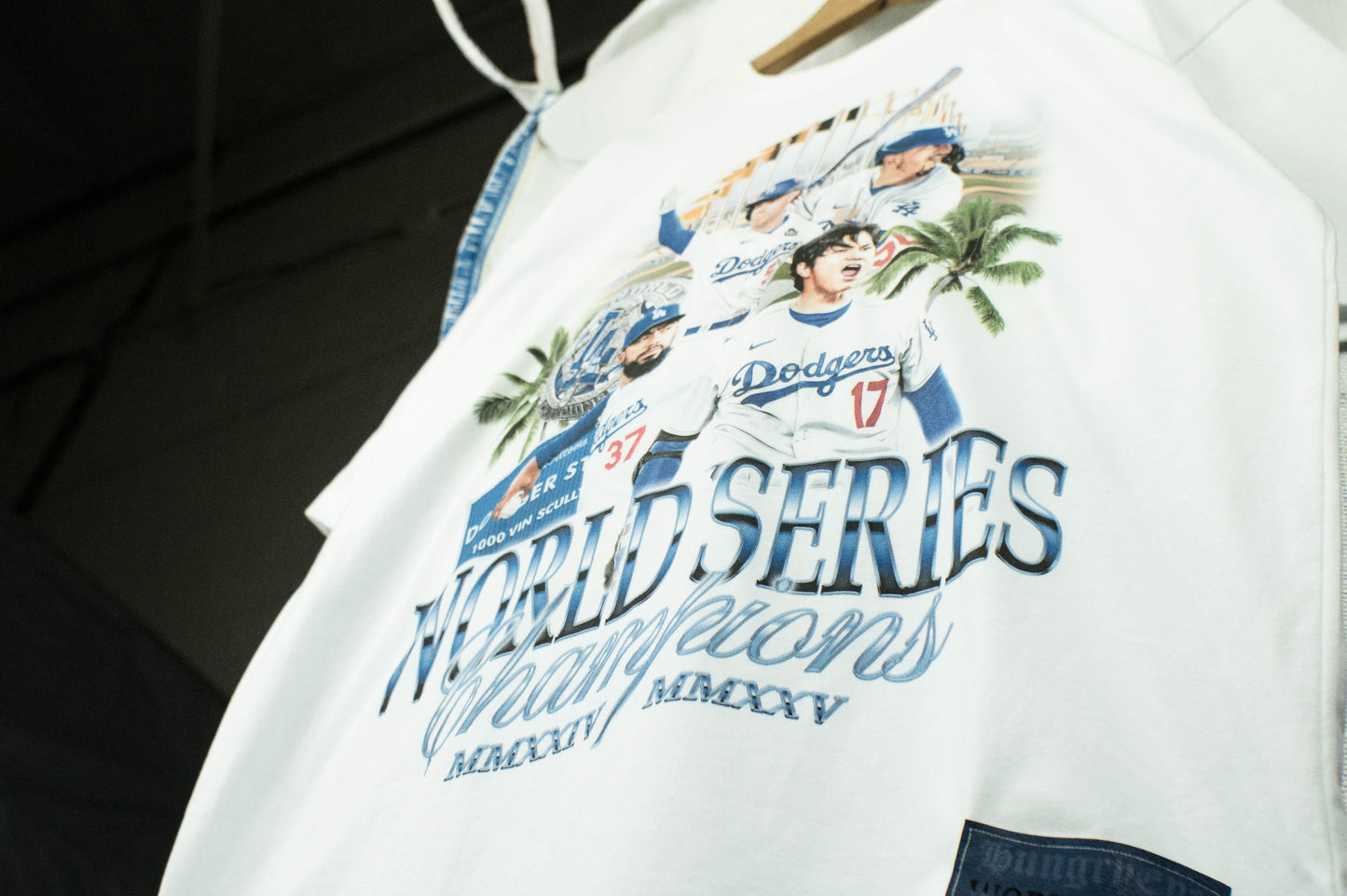 World Series Champions 2024/2025